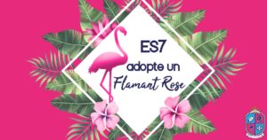 ES7 adopte Nossa un flamant rose